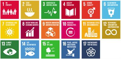 Sustainable development goals applied to digital pathology and artificial intelligence applications in low- to middle-income countries